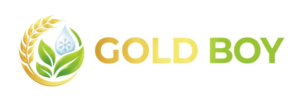 GOLD BOY