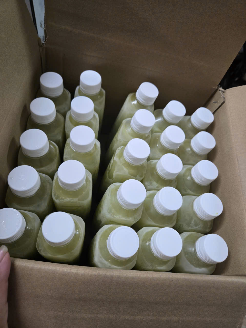 NƯỚC ÉP CÓC ĐÔNG LẠNH - Ảnh 3