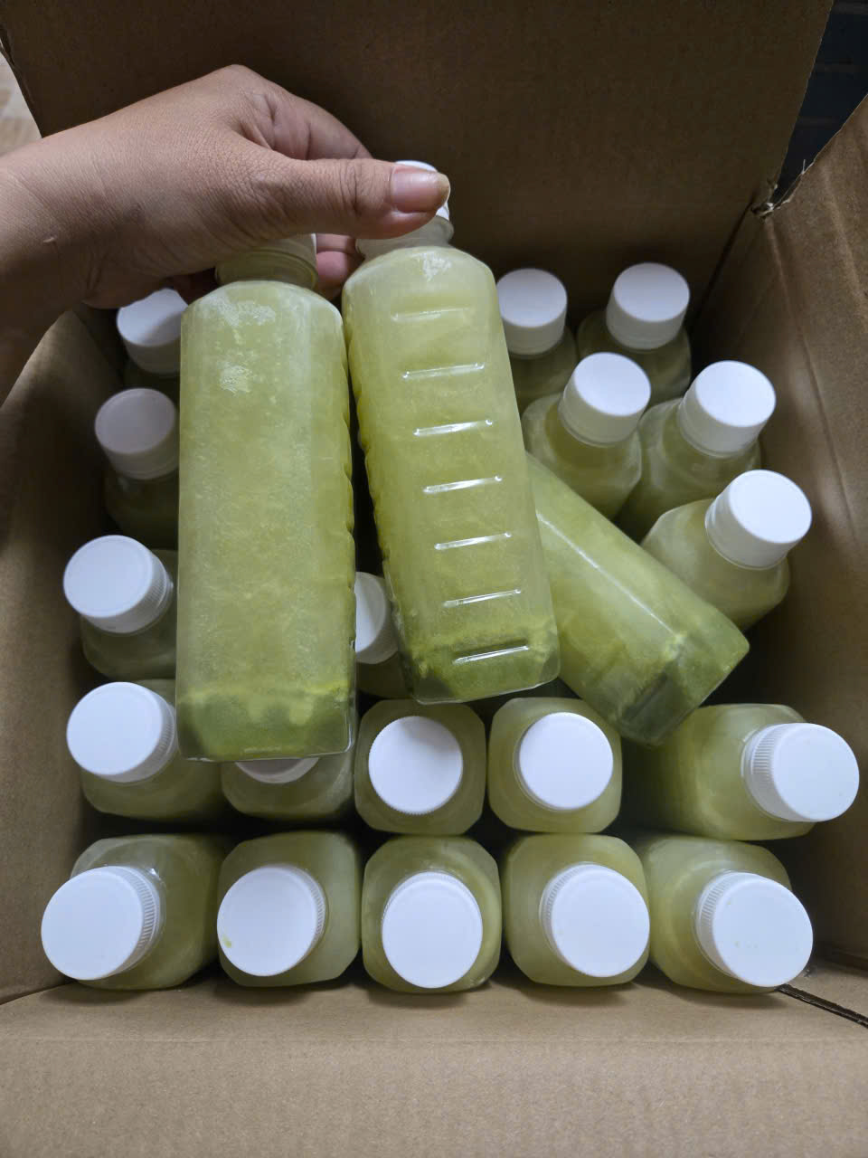 NƯỚC ÉP CÓC ĐÔNG LẠNH - Ảnh 2