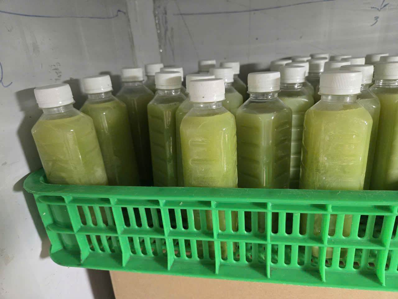 NƯỚC ÉP CÓC ĐÔNG LẠNH - Ảnh 5